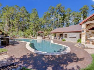 22 Mount Zion Rd, New Waverly, TX 77358