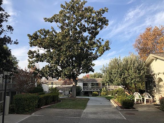 3rd image of 5520 Cribari Cir