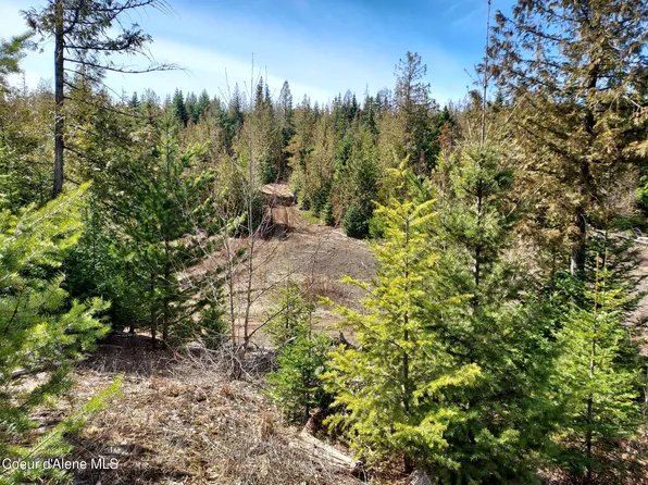 2244 Whittum Rd, Priest River, ID 83856