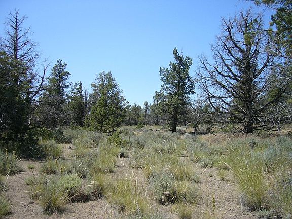 3rd image of Yuba Meba Rancho Rd