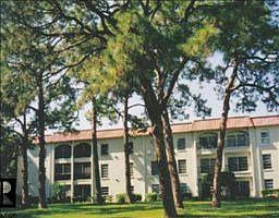 5th image of 2700 Bayshore Blvd APT 1202