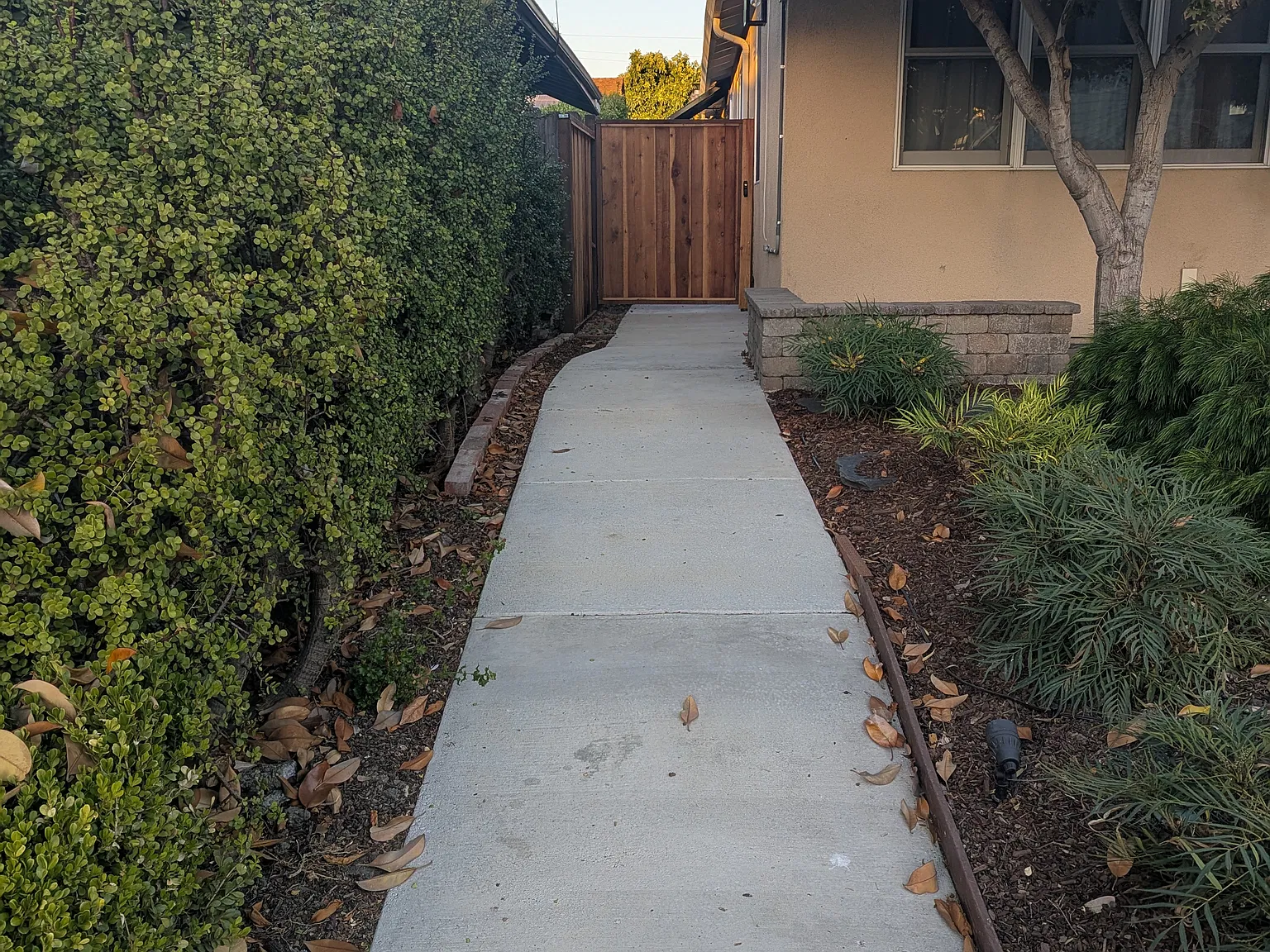 1 bed, 253 sqft, $2,000 — Photo 2