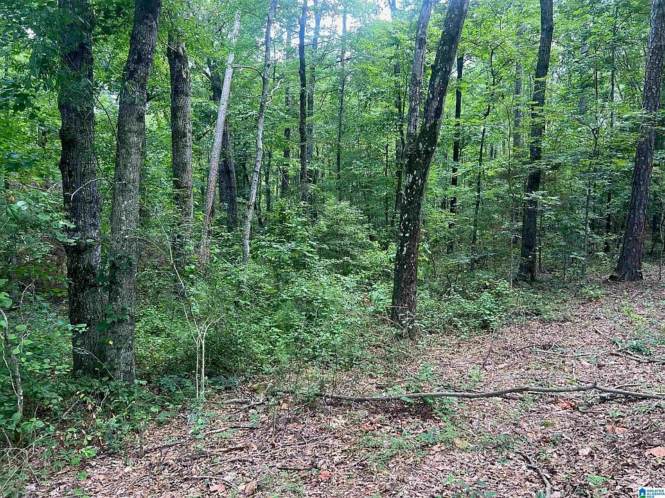 2nd image of 2020 Glen Oaks Ln #230