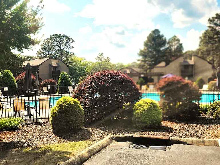 280 Sugar Gum Ln #168 — Photo 41