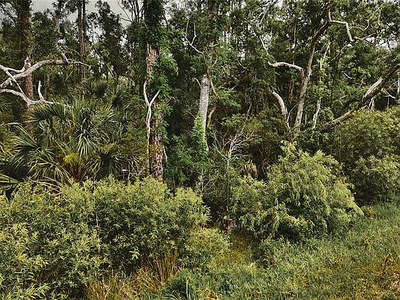 3rd image of Lots 10 11 12 13 Adams Beach Rd Lot 10-14