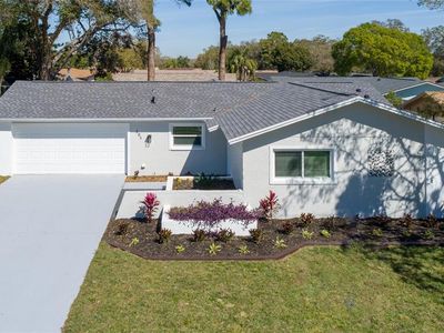 205 Lotus Dr, Safety Harbor, FL, 34695