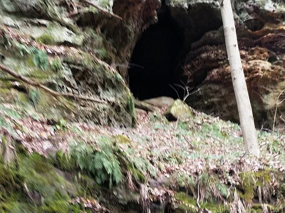 4th image of 17397 State Route 374