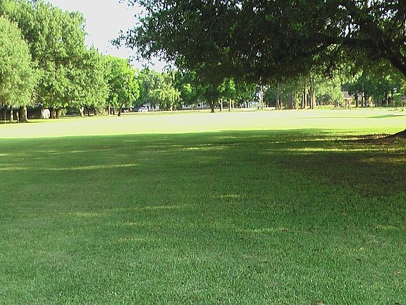 Pasture perfect for grazing horses