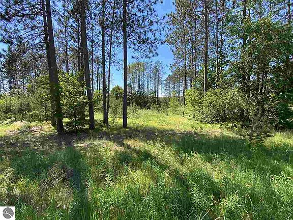 4th image of 221 Pine Knoll Dr