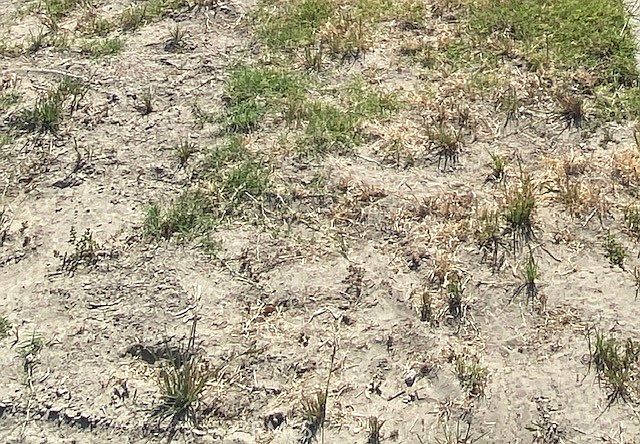 1st image of 1 A Rd Lot 114