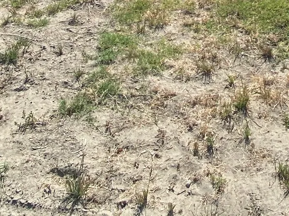 1 A Rd Lot 114, Ridgecrest, CA 93555