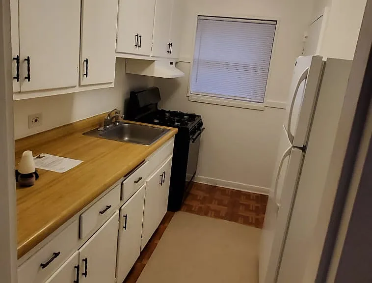 642 Pickus Ct — Photo 14