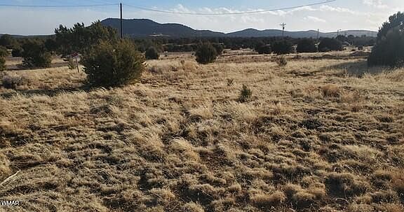 3rd image of 63 County Road 8019