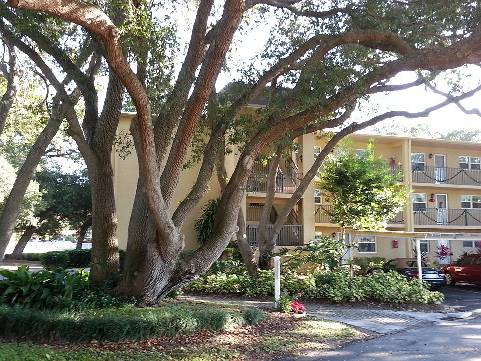 Tranquil tree-filled setting
