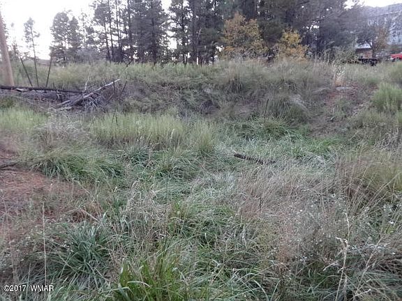 4th image of 1601 N 36th Dr