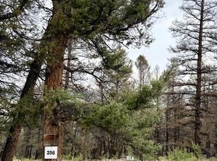 0 Middle Fork Vista LOT 256, Fairplay, CO 80440