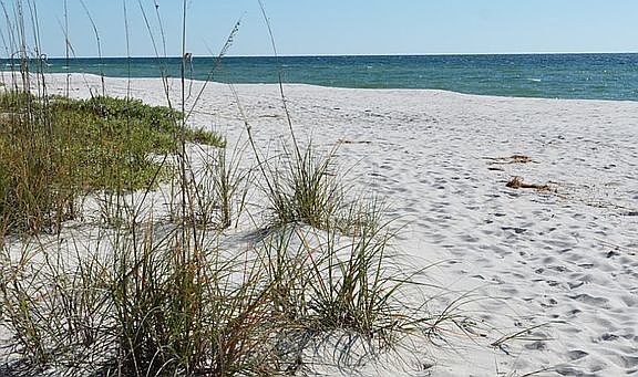 4th image of 15000 Blk Perdido Key Drive Perdido Key Cv #Lt