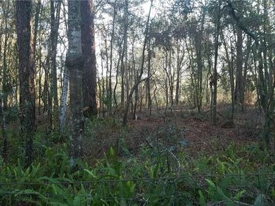 Baird Ave, Mount plymouth, FL, 32776
