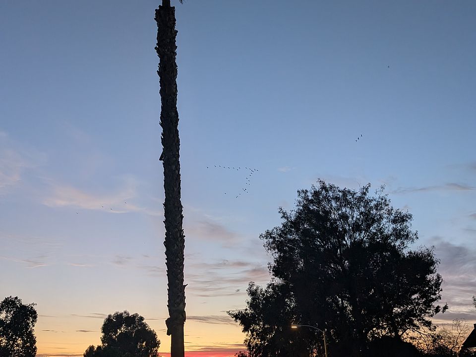 Evening view