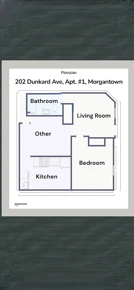 202 Dunkard Ave #1 photo 1