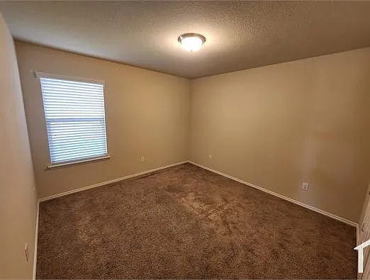 3217 Jackal Dr — Photo 27