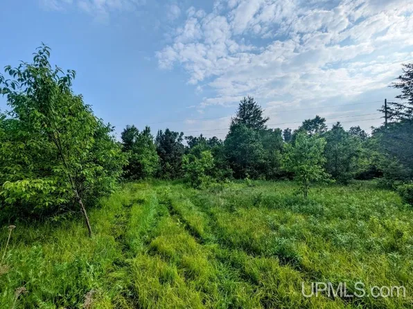 25 Acre Trl #2, Iron River, MI 49935