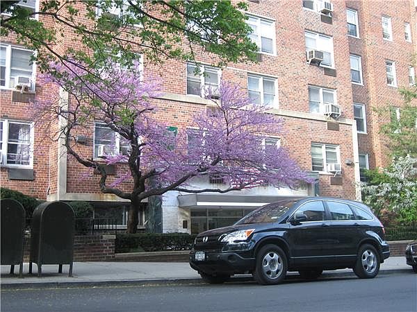 1st image of 6565 Wetherole St APT 3V