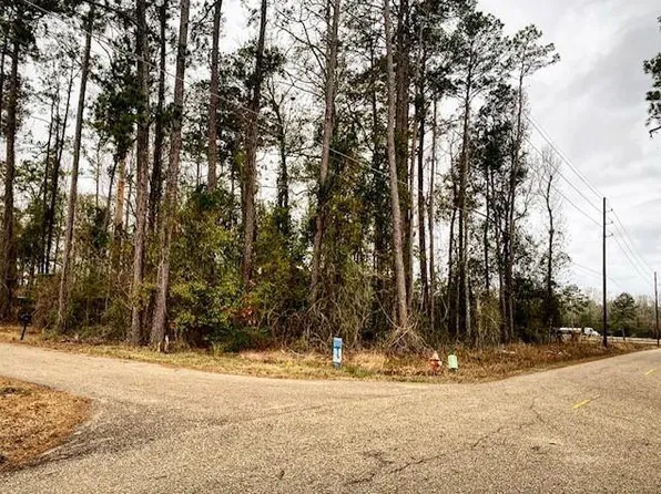 45379 Puma Dr, Hammond, LA 70401