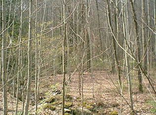 0 Kirklands Creek Rd, Bryson City, NC 28713