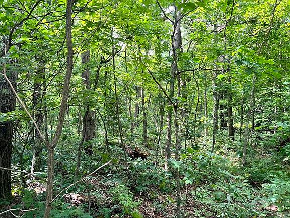 5th image of 10381 Woodland Ln