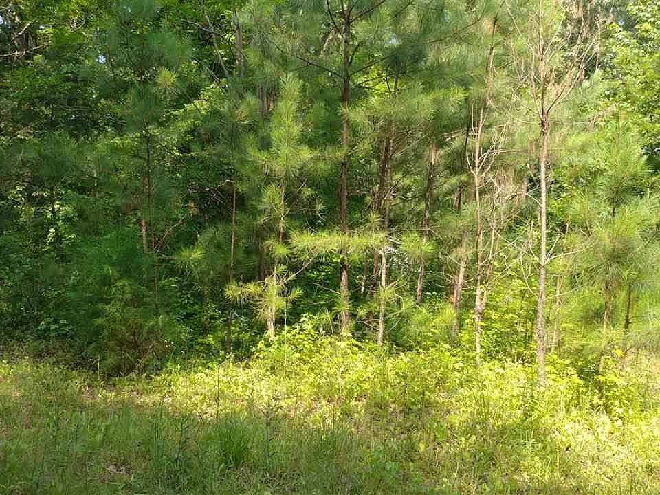 1st image of 180 Reel Ln