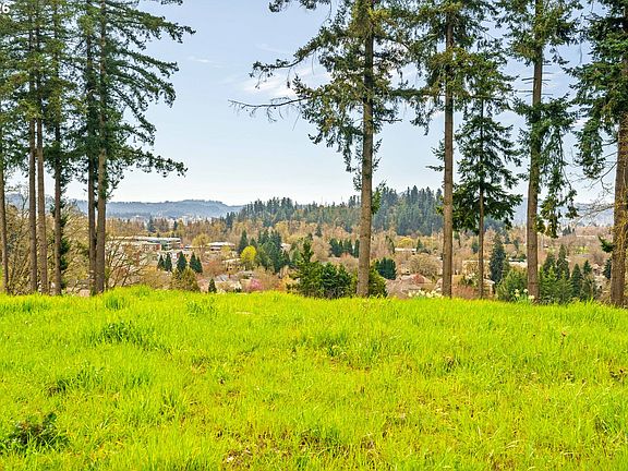 2nd image of 1238 Stone Forest Ct