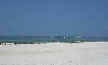 4th image of 227 Seagrass Cir