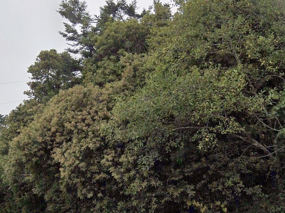 1st image of Hillside Acres Rd
