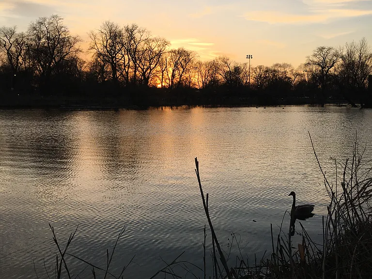 Lagoon at McKinley Park
