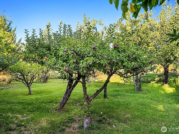 5th image of 220 Big House Road