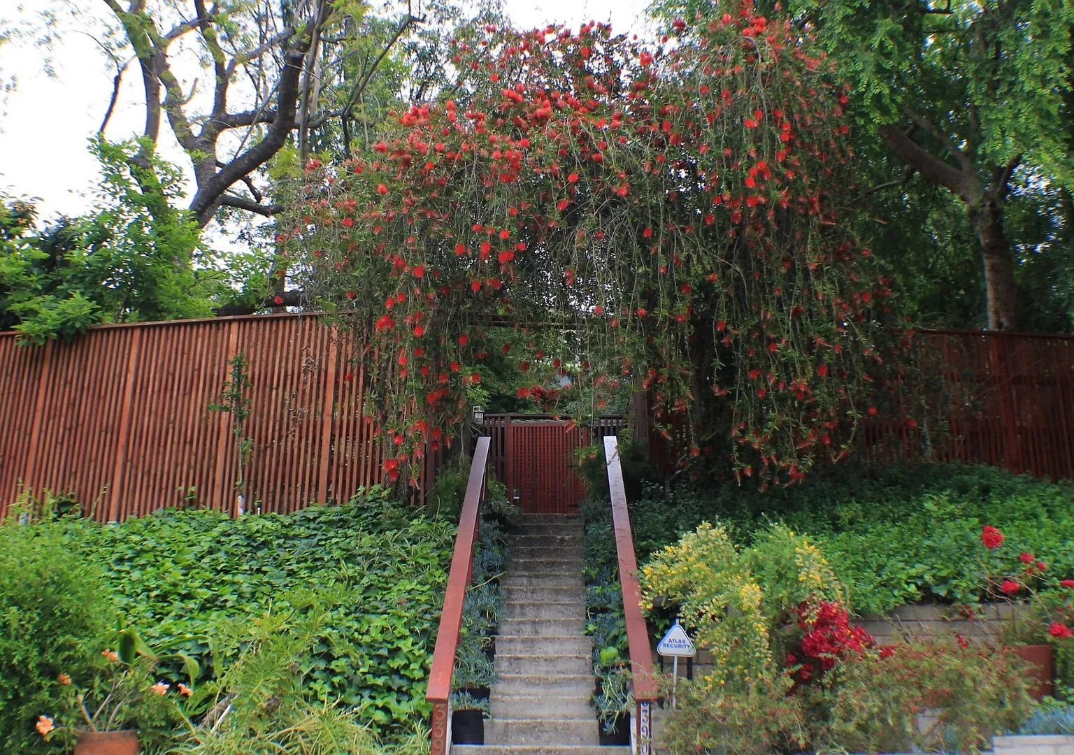 The Hollywood Hills Hideaway — Photo 2