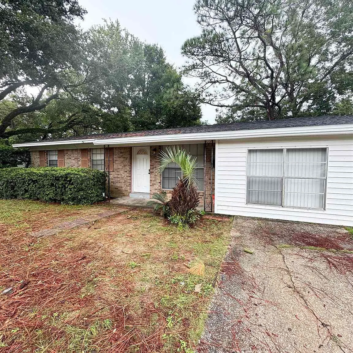 3 bed, 1252 sqft, $1,600 — Photo 1