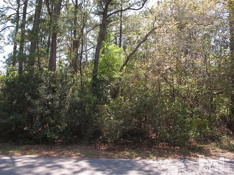 2nd image of 811 Magnolia Ave