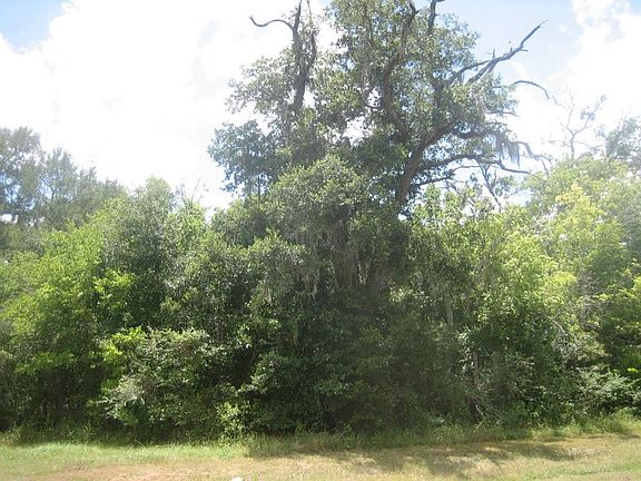 4th image of 407 Star Lake Dr