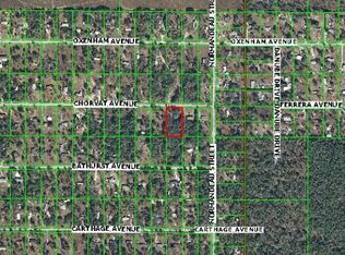 17828 Chorvat Ave, Spring Hill, FL 34610