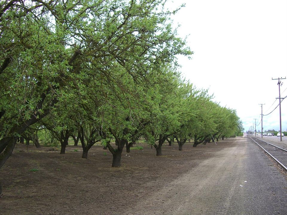 1st image of 23284 State Highway 120