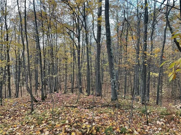 Lot 42 Off Birken Trail Road, Hayward, WI 54843