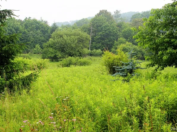 Vl Dublin Hollow Rd #17, Ellicottville, NY 14731