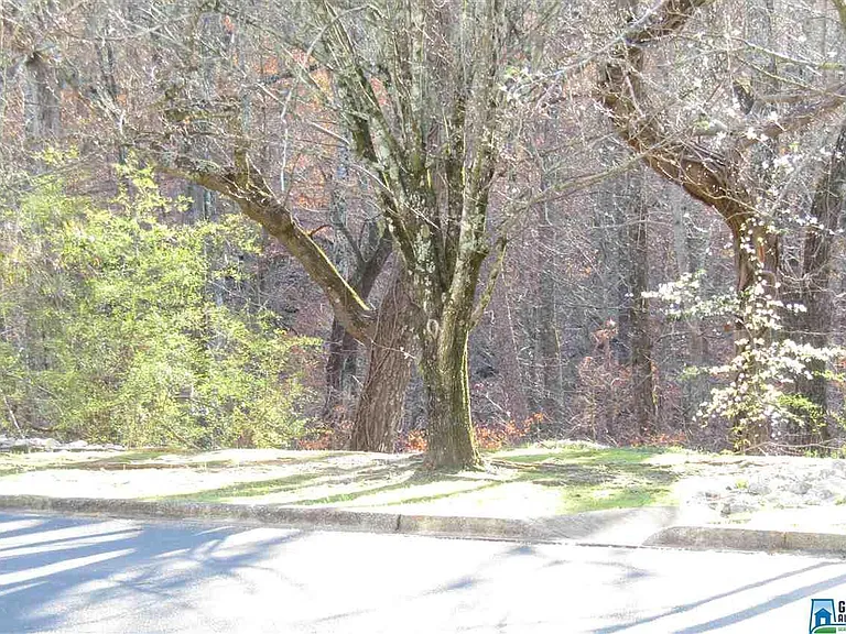 1000 Woodland Vlg #1004 — Photo 34