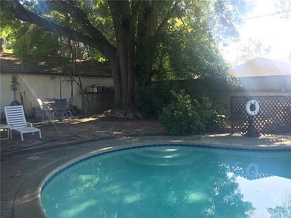 Pool and Brick Patio with Beautiful Shade Tree