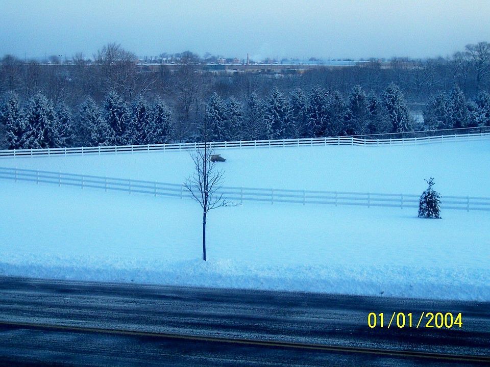 Christmas Card View from MBR