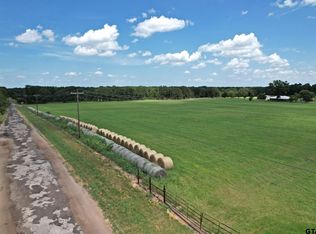 LOT 3 Vz County Road 3208, Wills Point, TX 75169