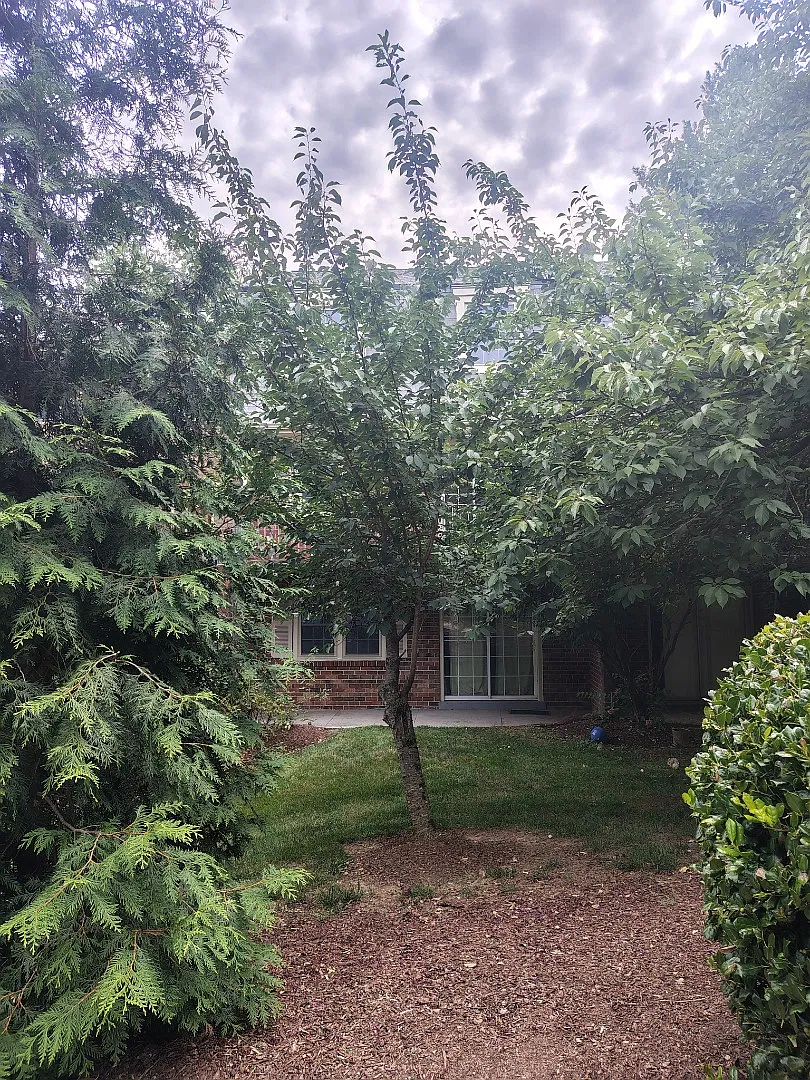 Your Dream Home Awaits! Spacious 4-Bedroom Home — Photo 2