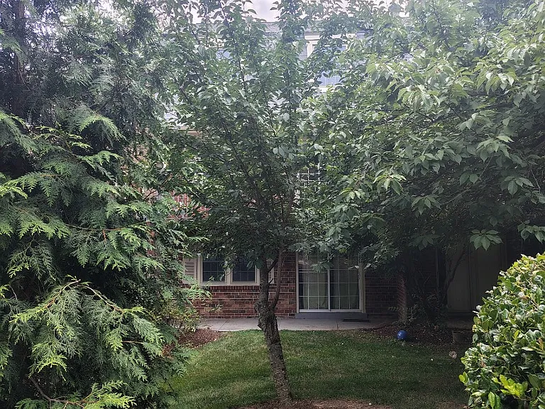 5956 Westchester Park Dr — Photo 15